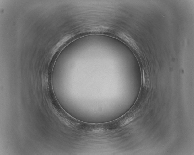 X0000073450483200608111354