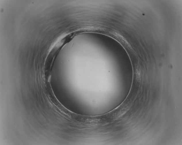 X0000073450484200608111354