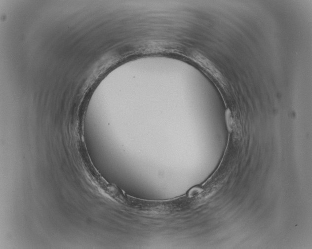 X0000073450485200608111354