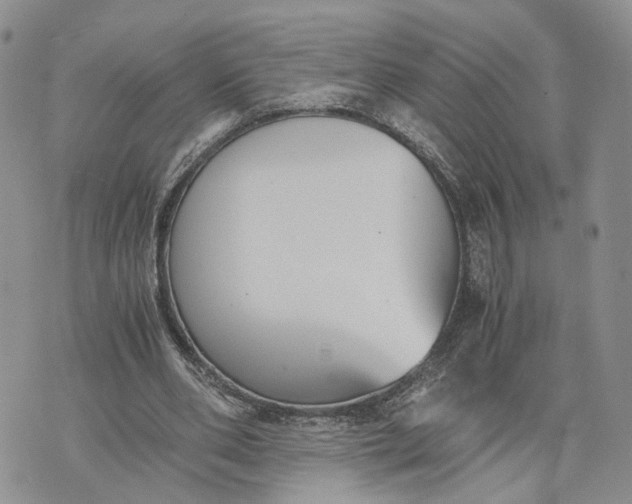 X0000073450486200608111354