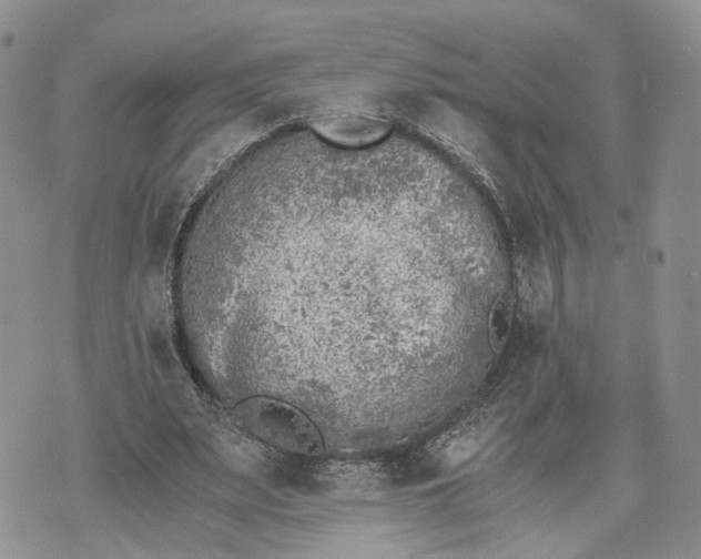 X0000073450487200608111354