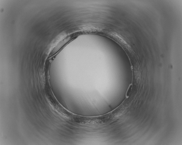 X0000073450488200608111354