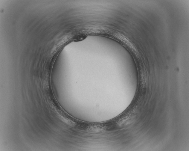 X0000073450489200608111354