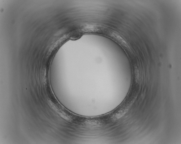 X0000073450490200608111354