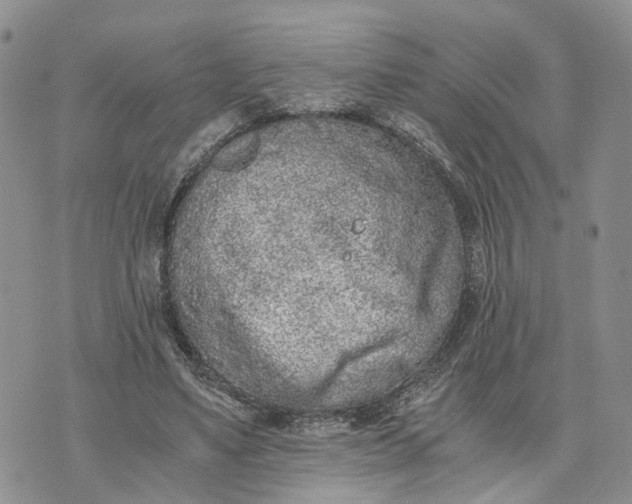 X0000073450491200608111354