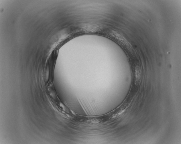 X0000073450492200608111354