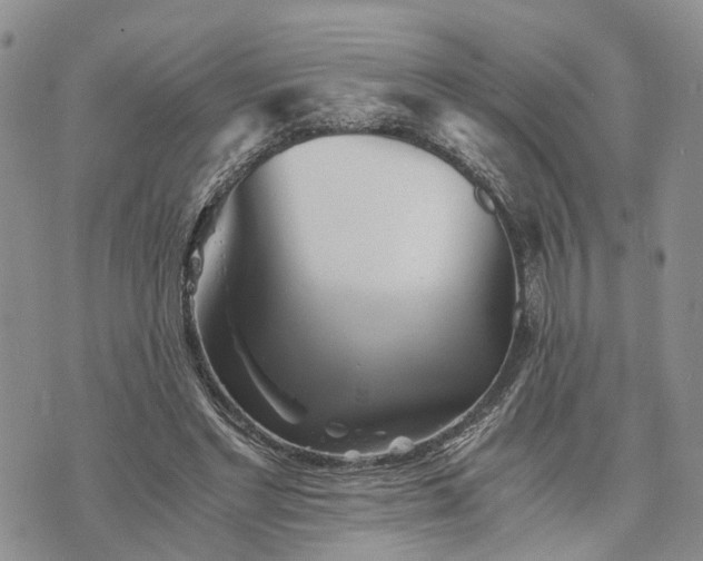 X0000073450493200608111354