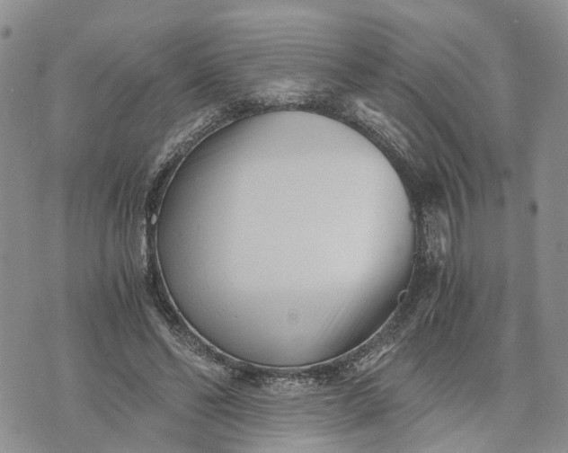 X0000073450494200608111354