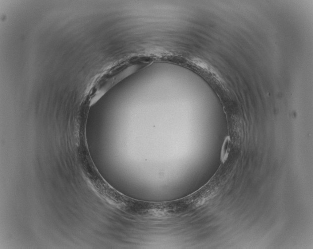 X0000073450496200608111354