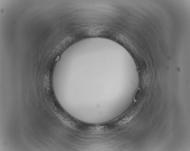 X0000073450497200608111354