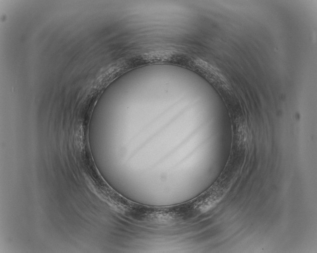 X0000073450498200608111354