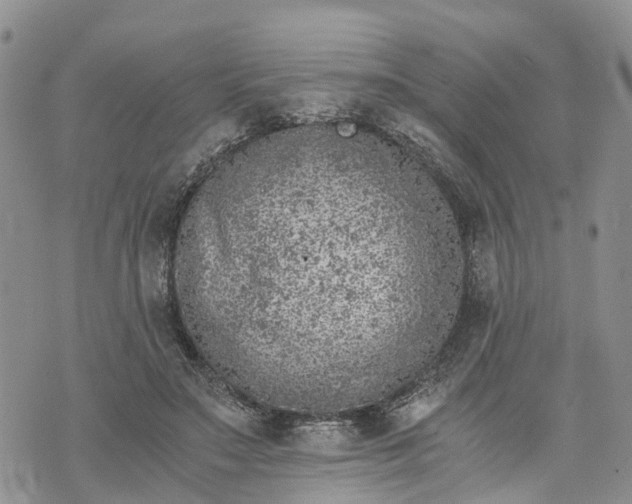 X0000073450499200608111354