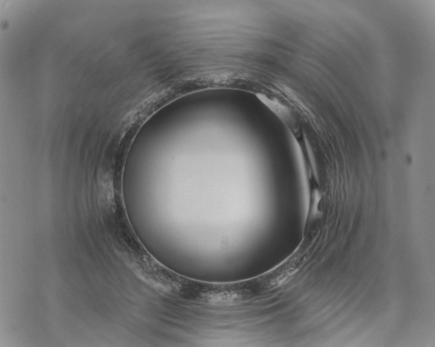 X0000073450500200608111354