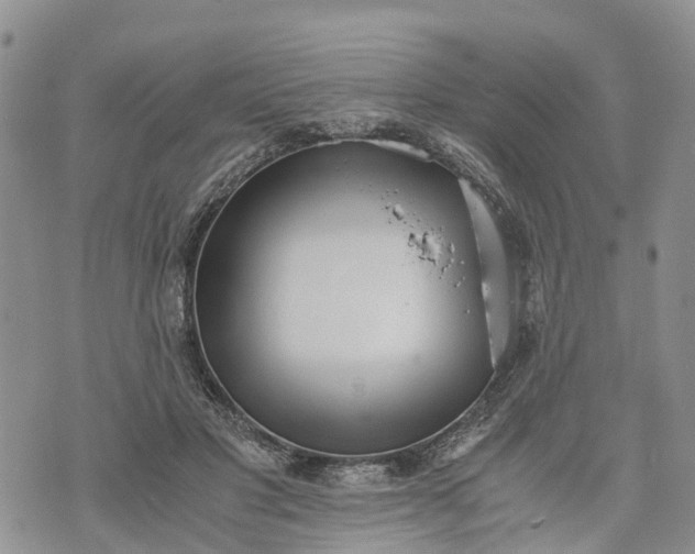 X0000073450501200608111354