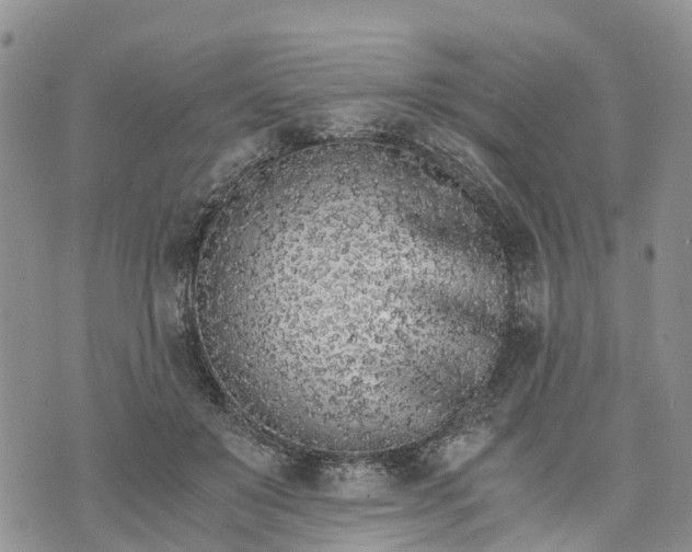 X0000073450503200608111354