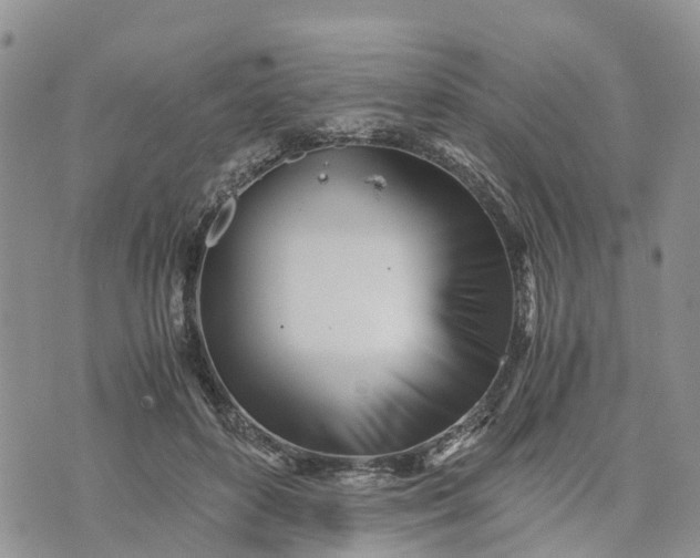 X0000073450504200608111354