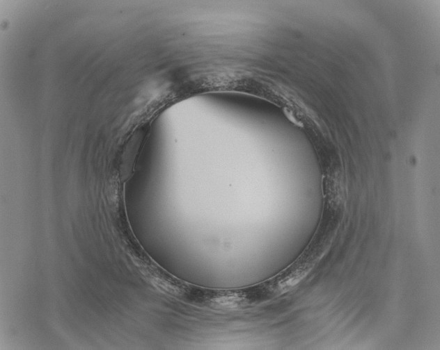 X0000073450505200608111353