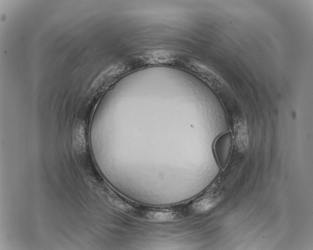 X0000073450506200608111353