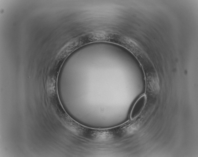 X0000073450507200608111353