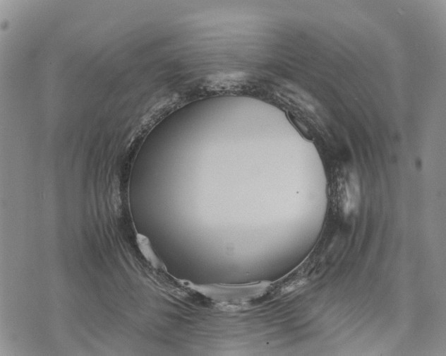 X0000073450508200608111353