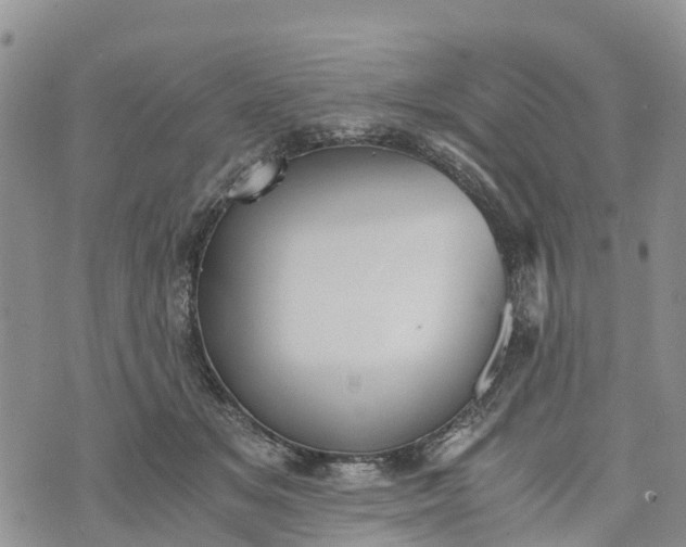 X0000073450509200608111353