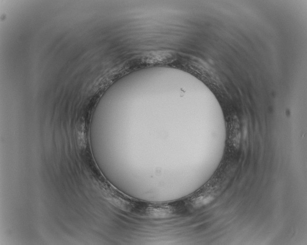 X0000073450510200608111353