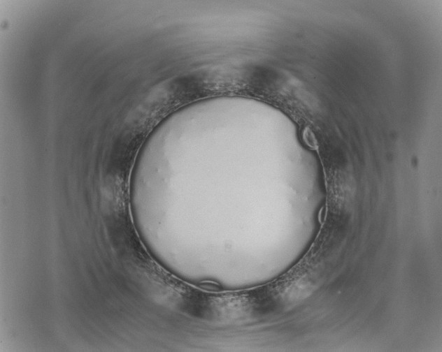 X0000073450511200608111353