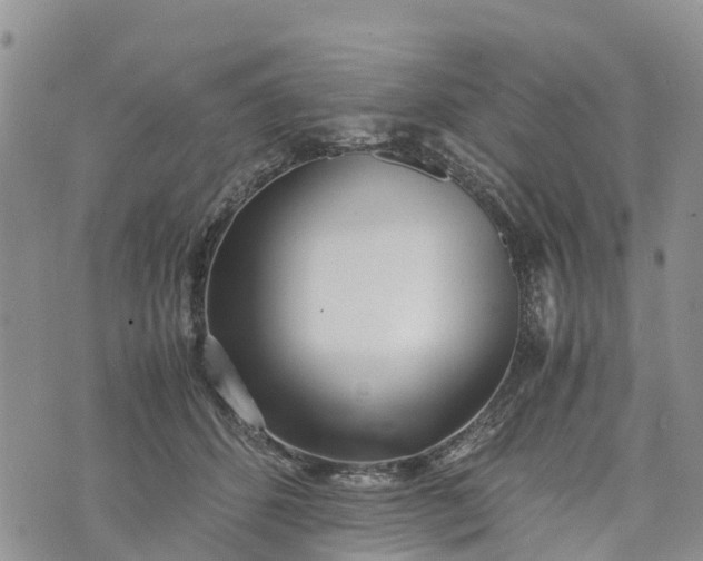 X0000073450512200608111353