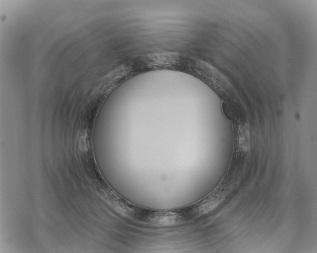 X0000073450514200608111353