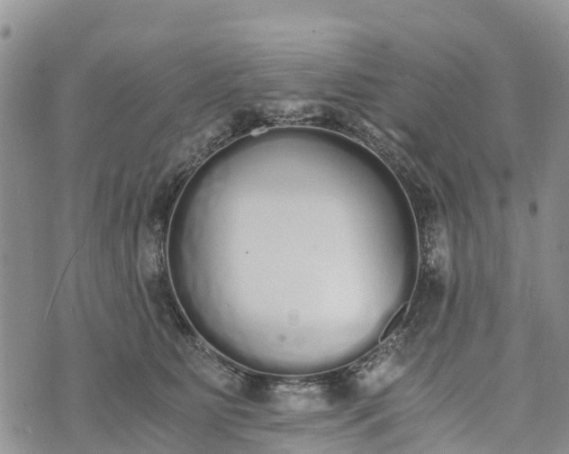 X0000073450515200608111353