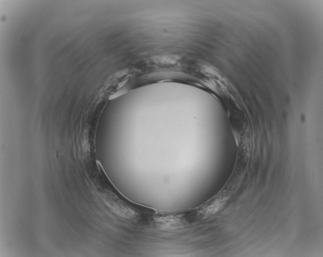 X0000073450516200608111353