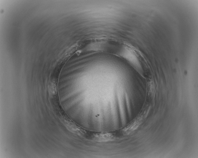 X0000073450517200608111353