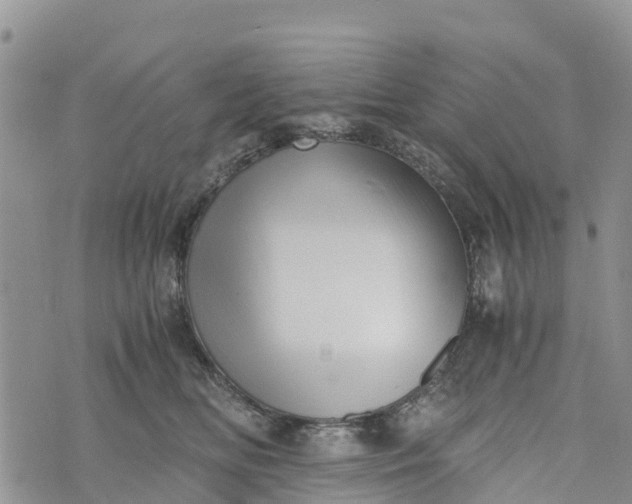 X0000073450518200608111353