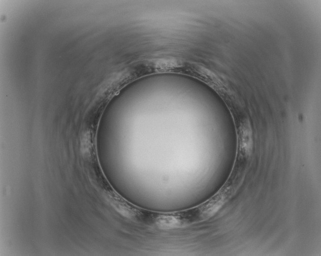 X0000073450519200608111353