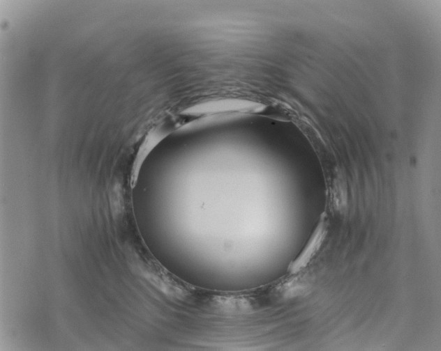 X0000073450520200608111353