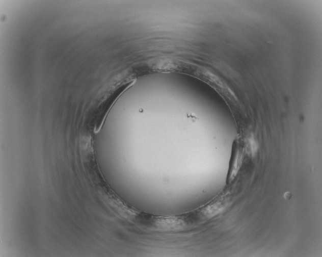 X0000073450521200608111353