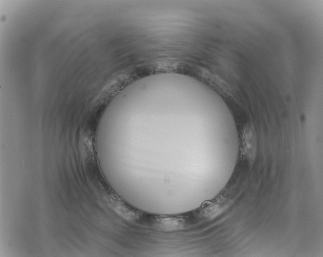 X0000073450522200608111353