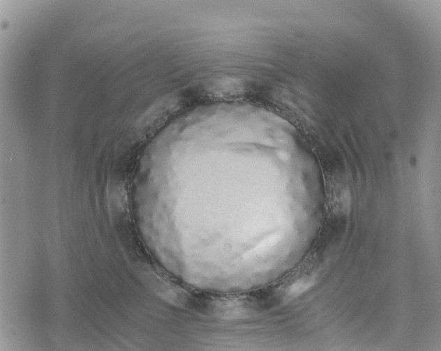 X0000073450523200608111353