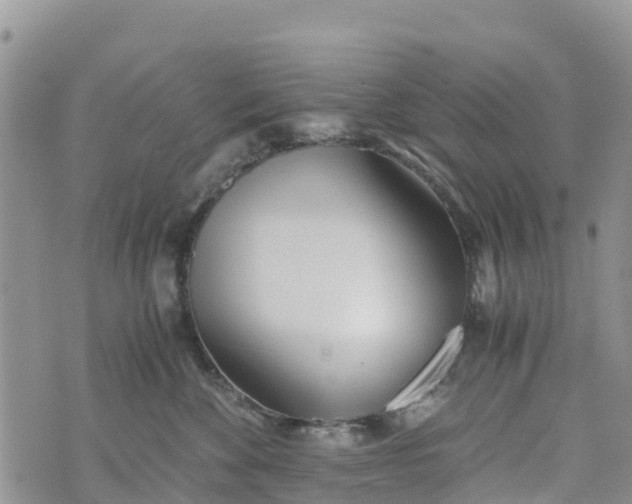 X0000073450524200608111353