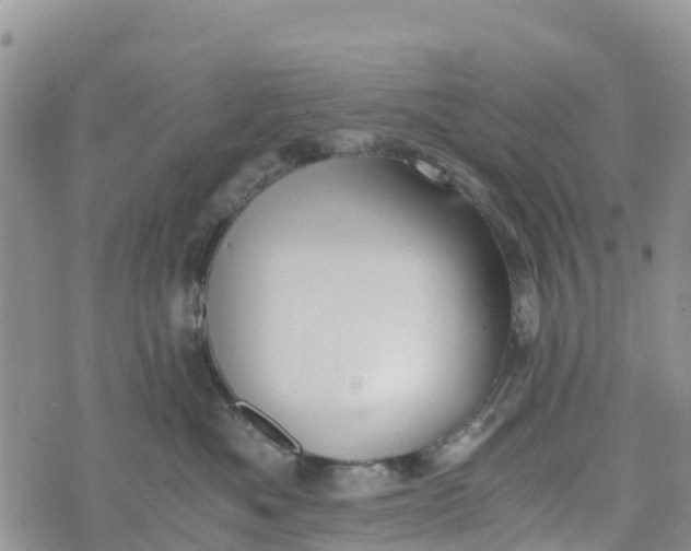 X0000073450525200608111353