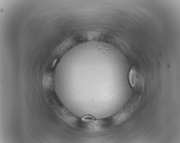 X0000073450527200608111353