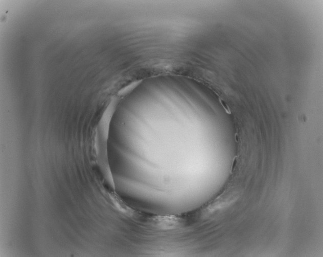 X0000073450528200608111353