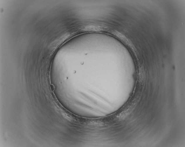 X0000073450529200608111352