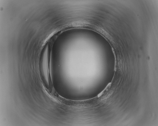 X0000073450530200608111352