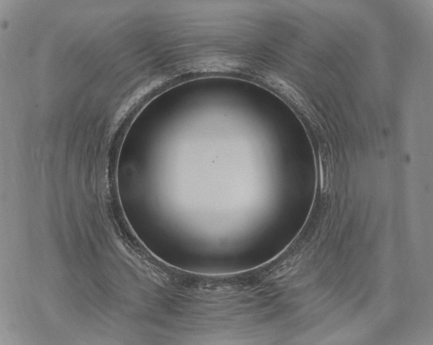 X0000073450531200608111352