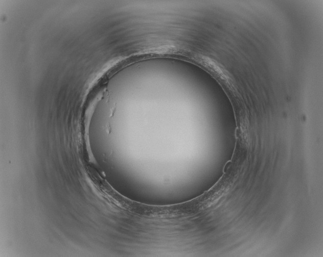 X0000073450532200608111352