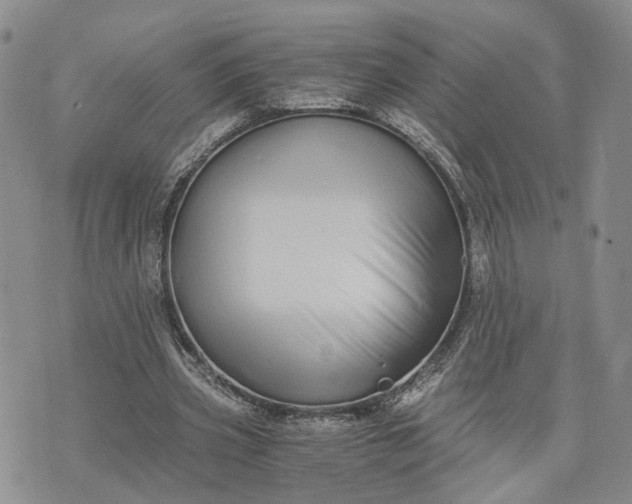 X0000073450533200608111352