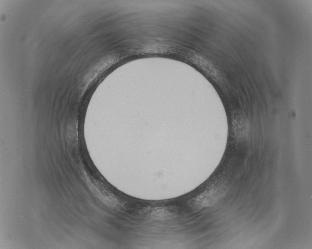 X0000073450534200608111352