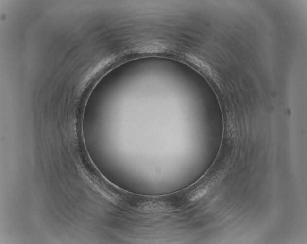 X0000073450535200608111352