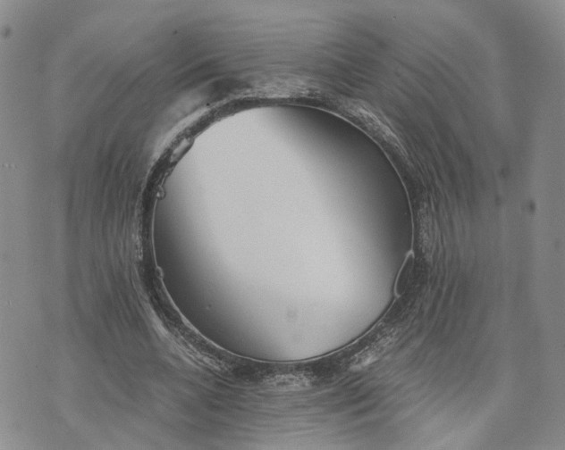 X0000073450536200608111352